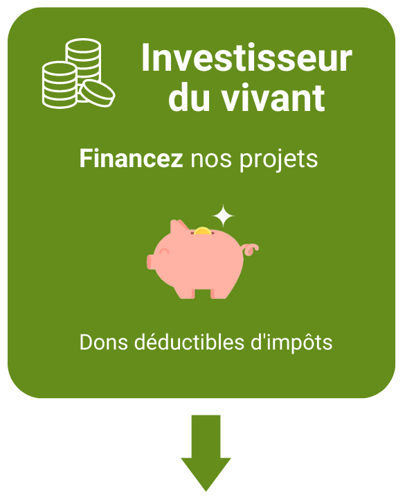 visuel investisseur